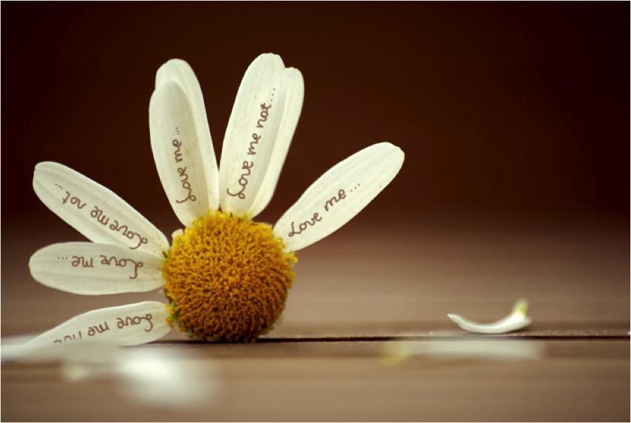 BUG "Loves Me, Loves Me Not" PyJAMa Jam February 17, 2021