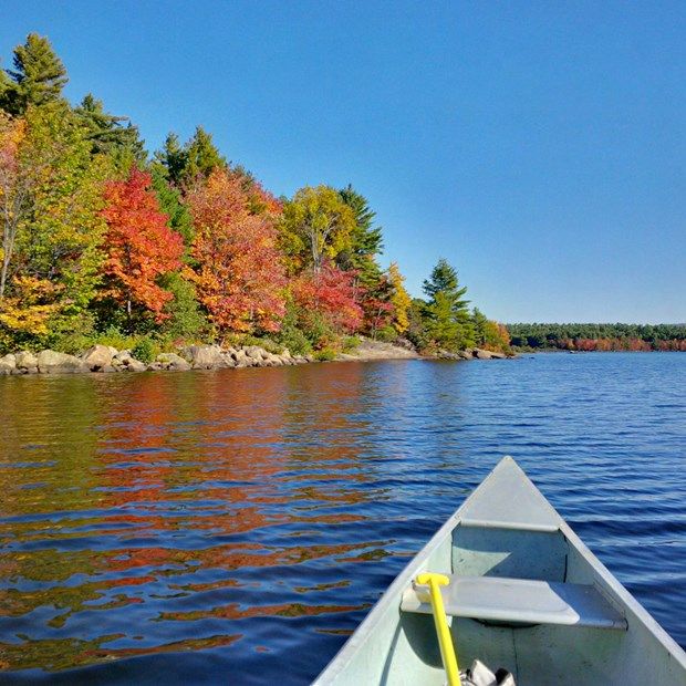 BUG camping weekend at Achray Provincial Park September 2014