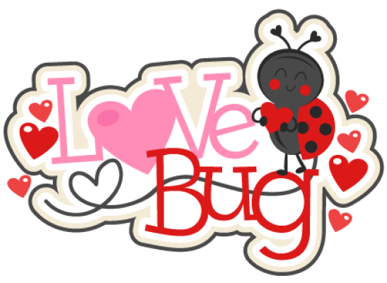Love Bug