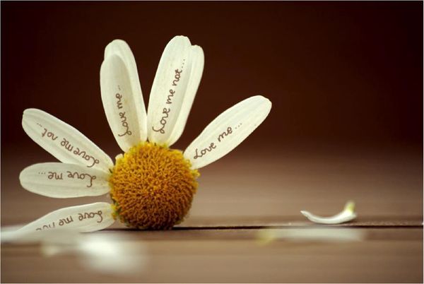 BUG "Loves Me, Loves Me Not" PyJAMa Jam February 17, 2021