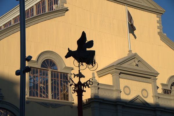 BUG performing at Lansdowne Summer Arts Series July 2016