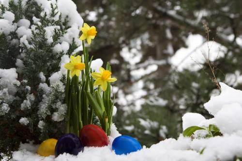 BUG Spring Fling Jam April 20, 2022